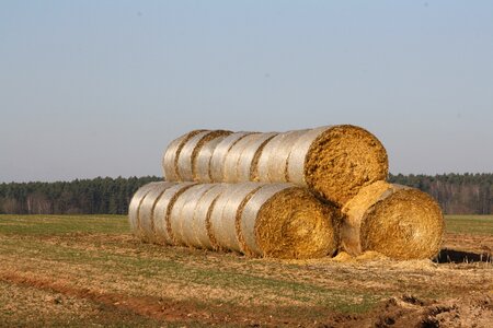 Hay bales meadow landscape photo