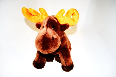 Toy greeting cards