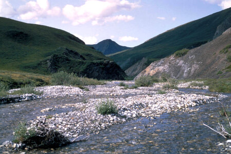 Mountain stream photo