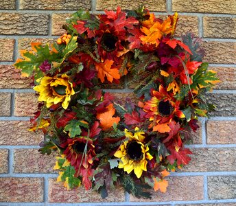 Fall orange red