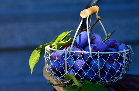 Basket beautiful photo food