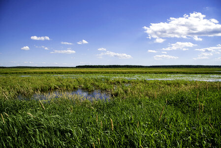 Wide Angle View of George Meade Wildlife Refuge landscape photo