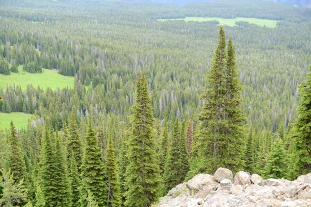 Mount Washburn Trail, Yellowstone National Park