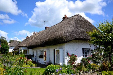 House old reed