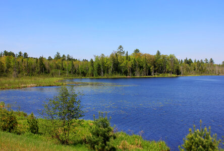 Left Side of Wood Lake at Governor Thompson State Park, Wisconsin photo