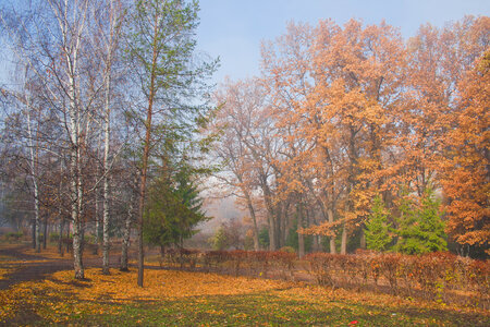autumn park