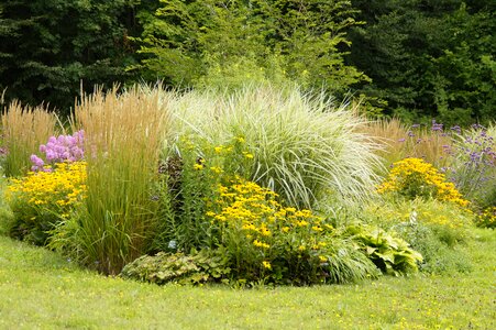 Beete perennials shrubs