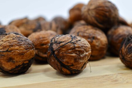 Seed walnut food