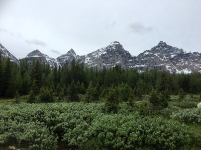 Larch Valley Trail - The Ten Peaks, Moraine Lake, Banff photo