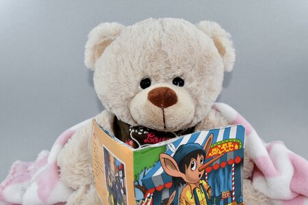 Book reading teddy bear toy photo