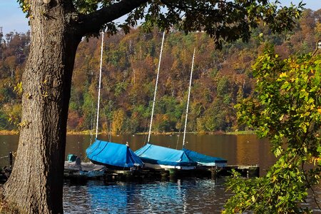 Boat cloud ecology