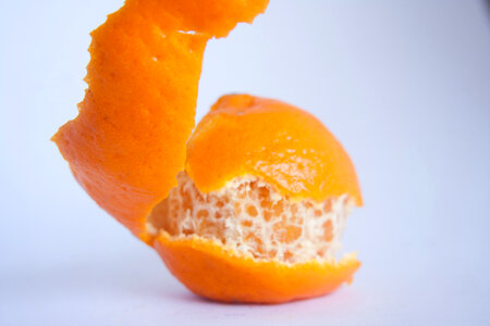 Fruit Food Orange photo