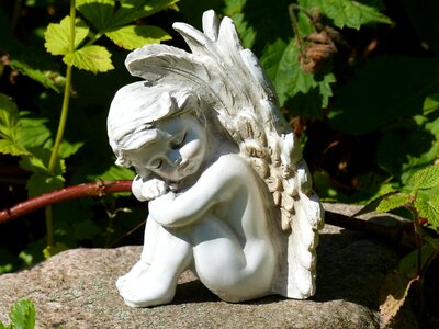 Leaf stone summer
