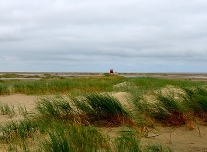 Agriculture beach countryside