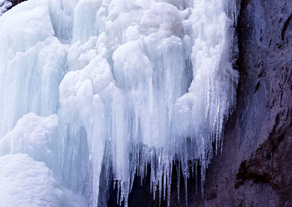 lots of icicles photo