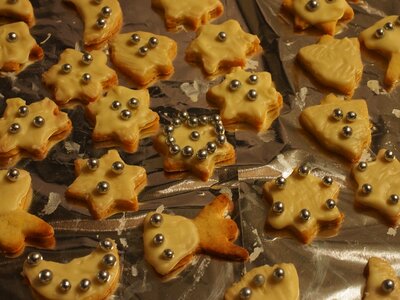 Beautiful Photo biscuit bread