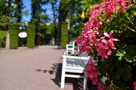 Park romance castle