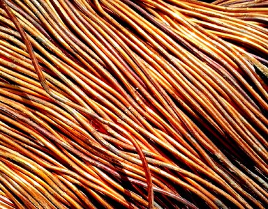 Barbed Wire copper structure