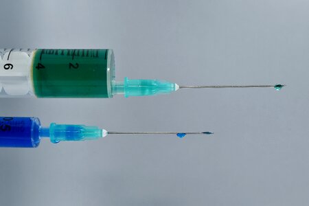 Close-Up macro needles photo
