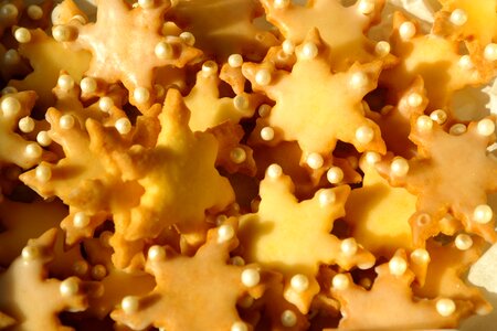 Christmas time sweet delicious