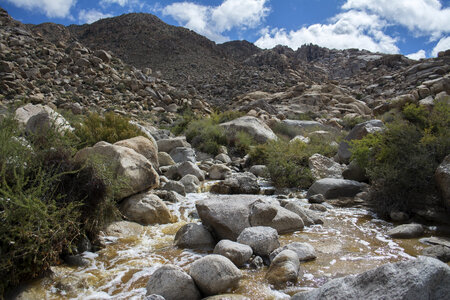 Running water in Joshua Tree National Park photo