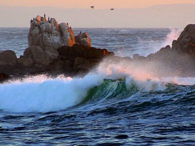 Ocean waves 