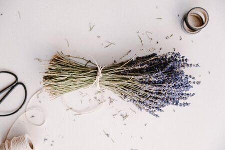 Lavender Crafts photo