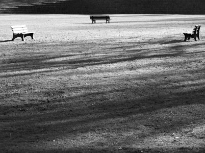 Black and white b w park bench photo