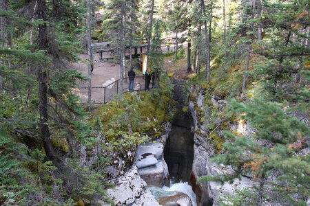 Parker Ridge Trail in the Canadian Rockies photo