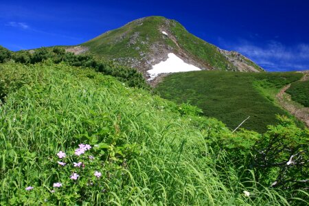 Summer mountain, Shirakawa-go, Japan photo