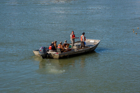 Fisheries crew netting paddlefish-1 photo