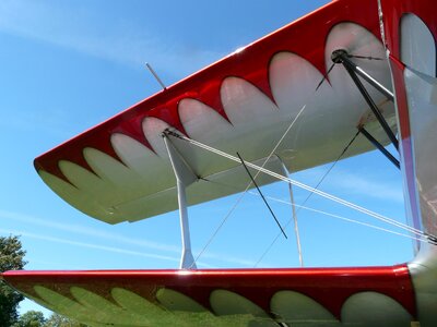 Wings silver red