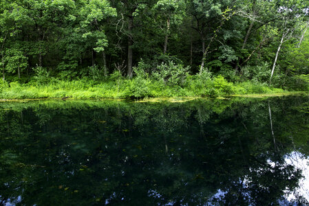 Landscape across paradise springs Pond