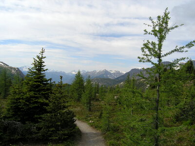 Hiking At Sunshine Meadows