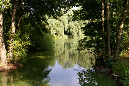 Lake green reflection