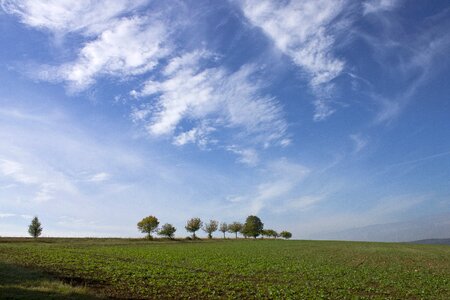 Trees sky clouds photo