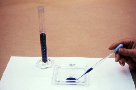 Blood coloration film