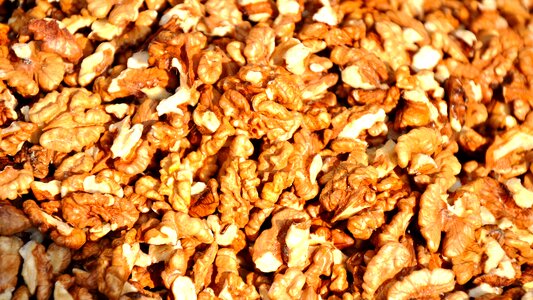 Seeds walnut food