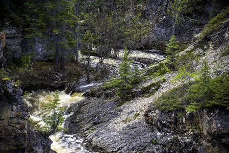 Downstream Scenery at McNallie Creek