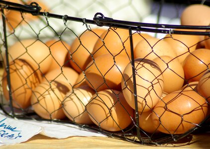 Hens basket market