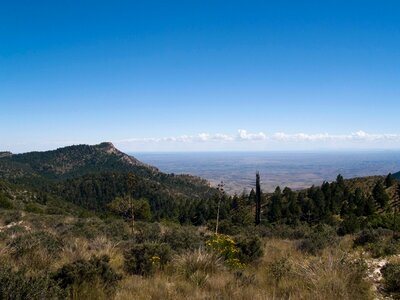 Pine Spring Canyon Guadalupe Mountains National Park photo