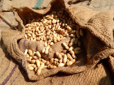 Peanut india brown jute bag photo