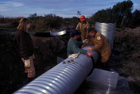 Aquatic control fire hose
