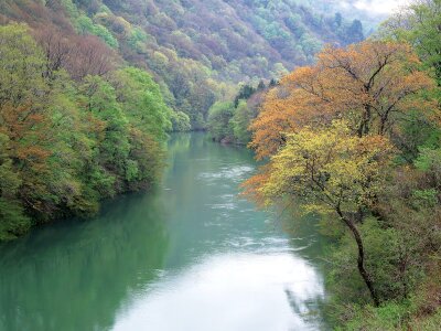 Rapid river in autumn mountains