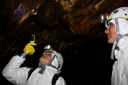 Finding a bat