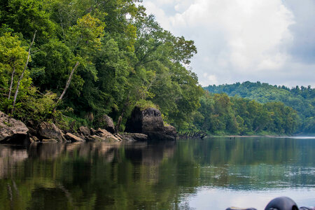 Scenic view of the Cumberland River Tailwater photo