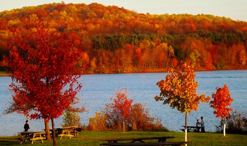 Autumn colorful foliage over lake photo
