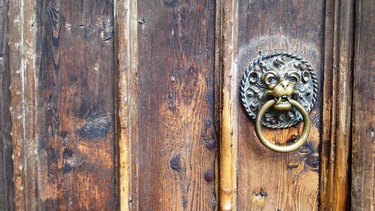 Church door wooden gate lion head photo