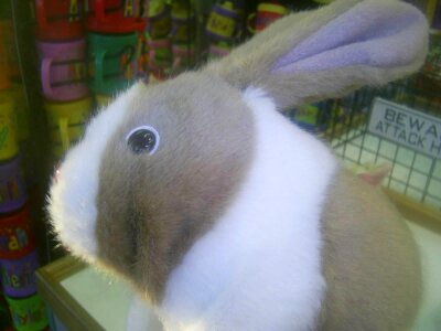 Battery bunny business