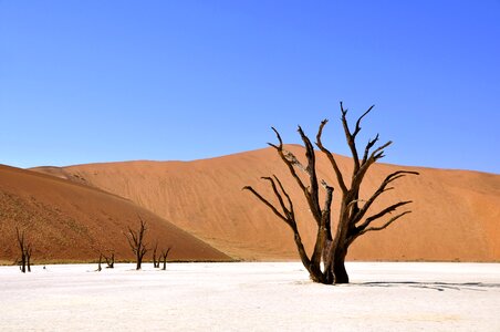 Clay pan drought africa photo